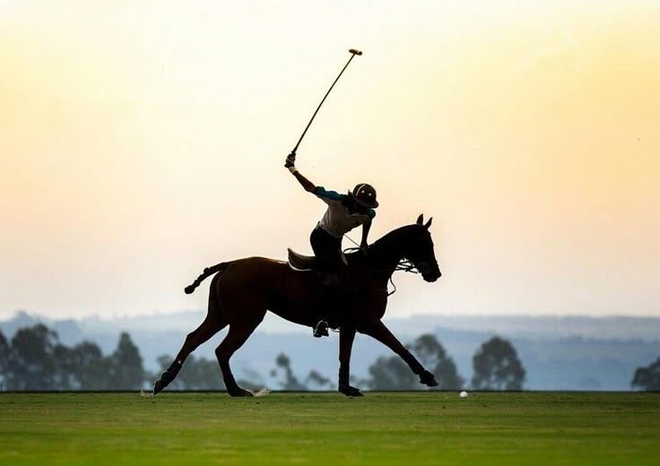 Equestrian