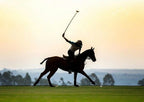 CWC Equestrian